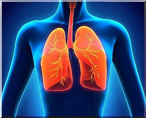 Resveratrol can protect your lungs