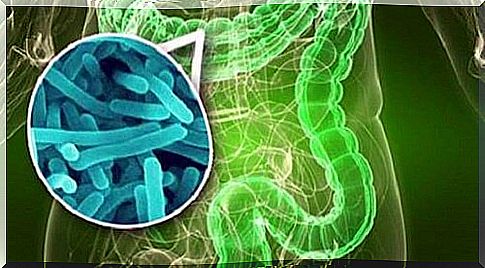 10 signs of bacterial overgrowth in the small intestine