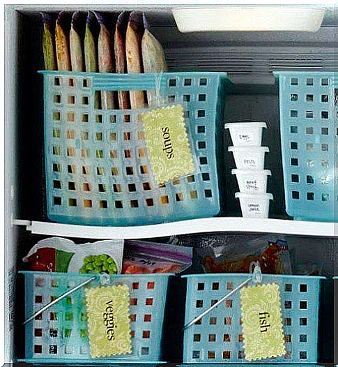 Organized food