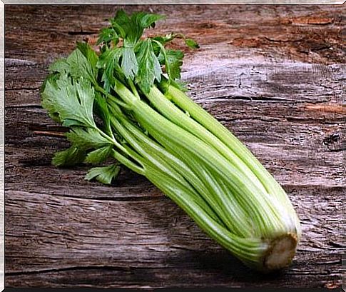 Celery