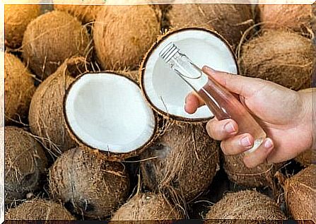 coconut