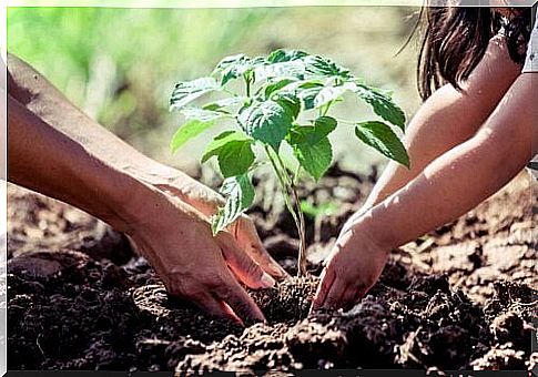 parent and child planting outside