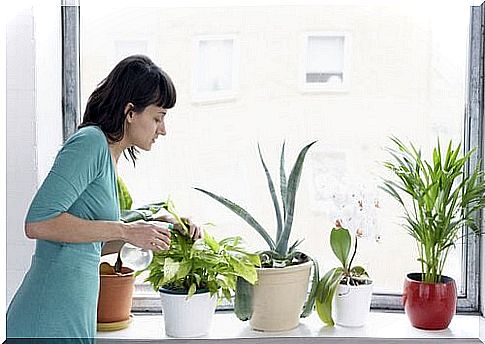 woman watering her plants takes advantage of cinnamon for plants