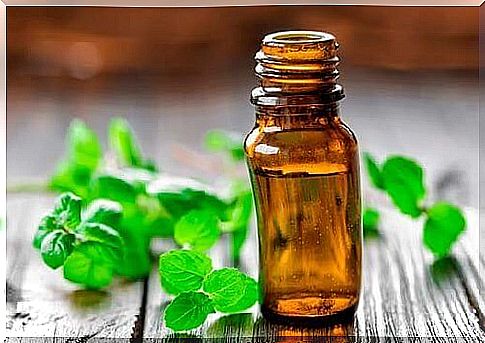 Mint oil has antioxidant properties