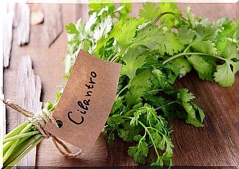 7 strong health benefits of coriander