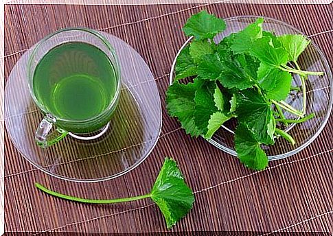 parsley tea