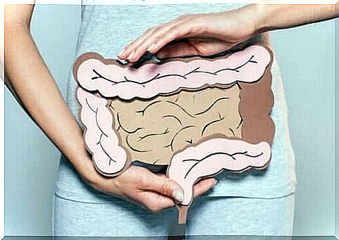 Illustration of a woman's intestines that are dependent on digestive enzymes