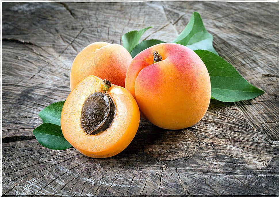 Discover the incredible benefits of apricots