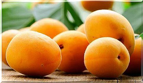 healthy apricots