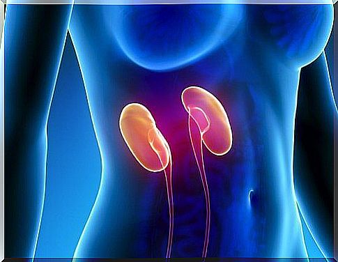 Do you need to take better care of your kidneys?