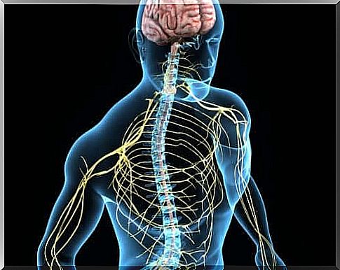 Essential tremor is illustrated with light in the human body