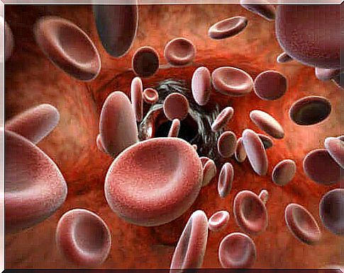 Illustration of red blood cells