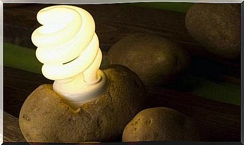 Find out how to make a lamp out of potatoes