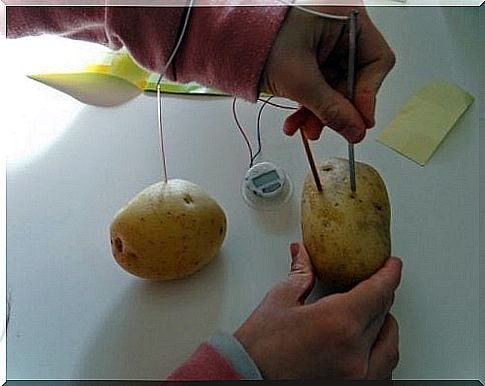 Person placing soem in a potato