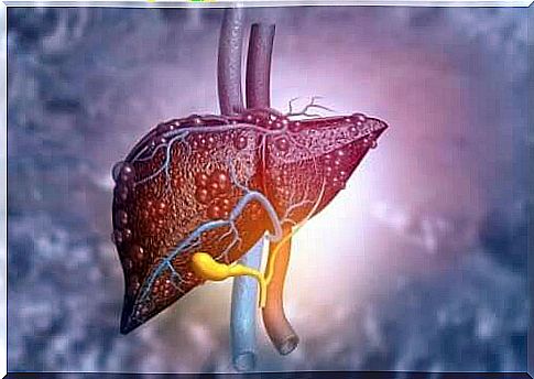 Picture of liver