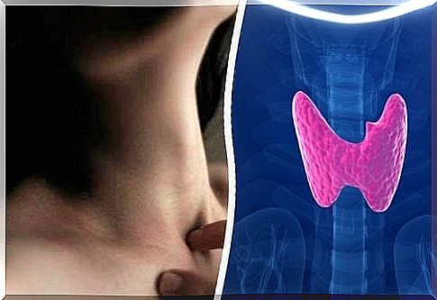 Foods that help stimulate the thyroid gland