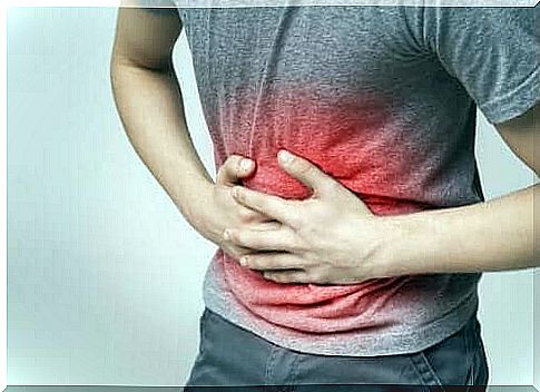 Four medicinal plants that can relieve indigestion naturally