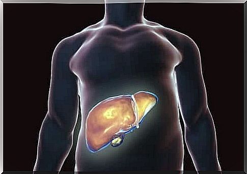 Healthy gallbladder: Tips for the right diet