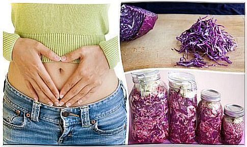 How purple sauerkraut can strengthen the intestinal flora