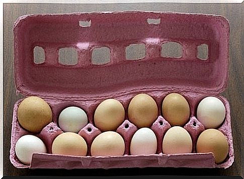 Eggs in a tray