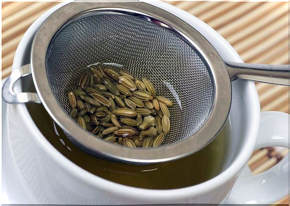 Fennel seeds