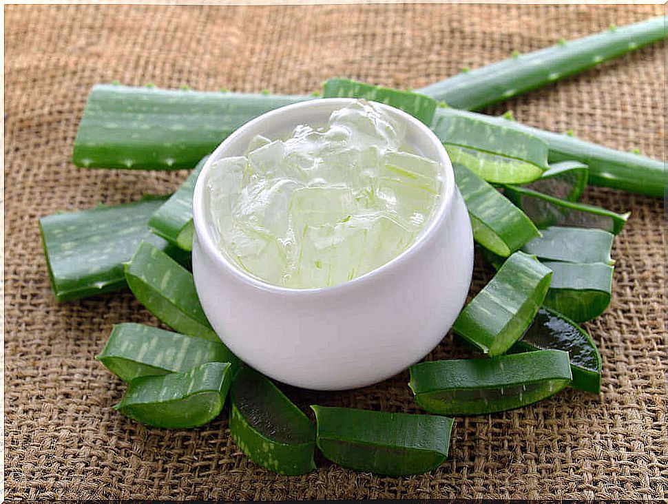 Aloe vera gel from fresh leaves