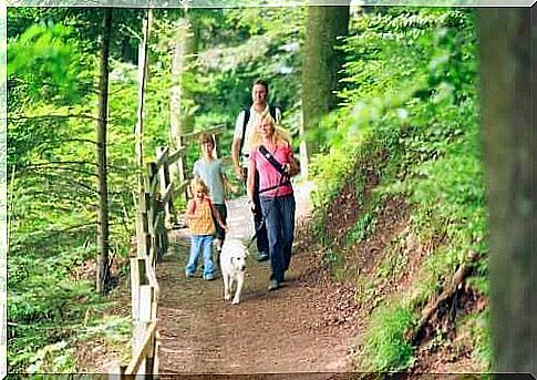 Family on a picnic as an example of good outdoor activities for the fall