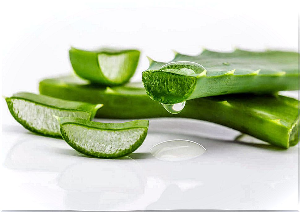 Aloe vera - Makeup remover