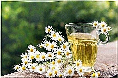 Glass of chamomile surrounded by chamomile flowers 