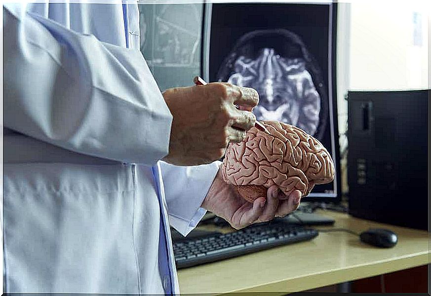 A doctor studying a brain