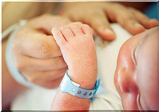 Parent holding baby's hand as illustration of jaundice in infants