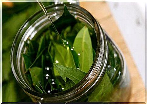 You can make a cover with bay leaves