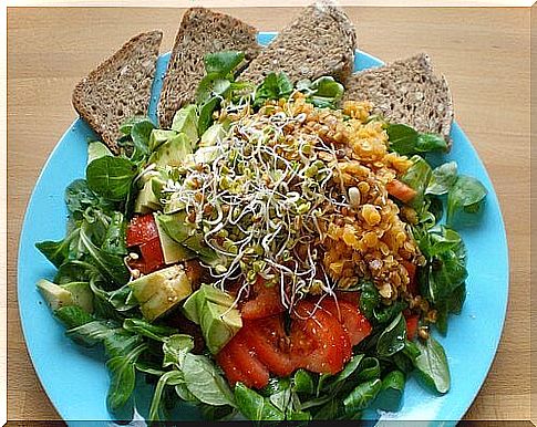 Salad with bread on the plate