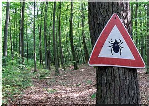 Treatment of Lyme disease