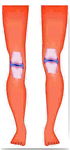 Types of synovial joints