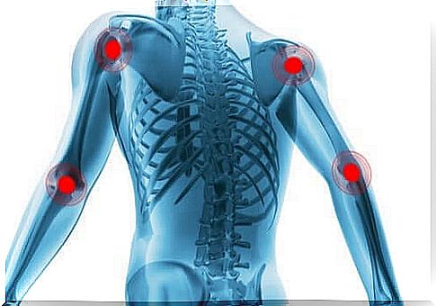 Synovial joints are illustrated with red spots